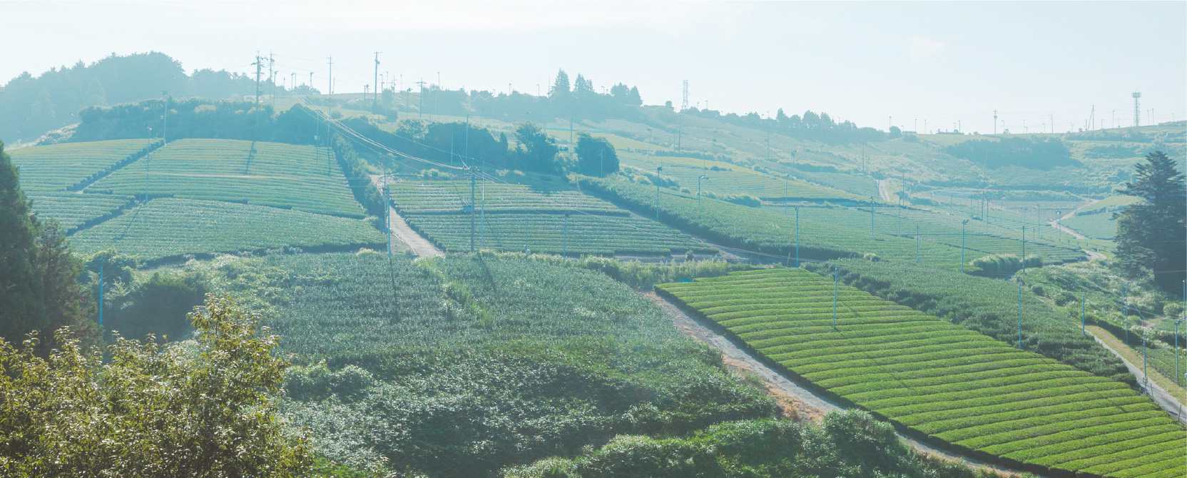 掛川おかにし内科 糖尿病・甲状腺クリニック